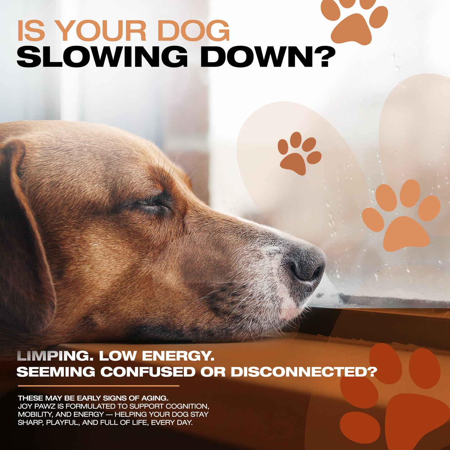 JoyPawz Vital Years - Anti Aging Chews