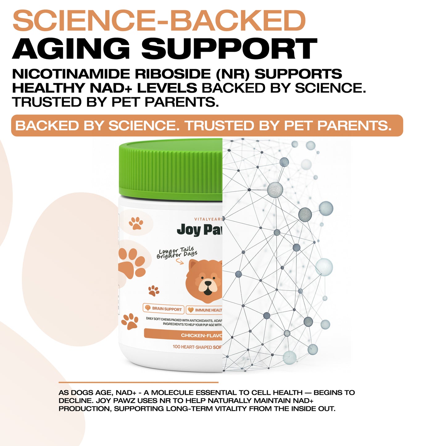 JoyPawz Vital Years - Anti Aging Chews