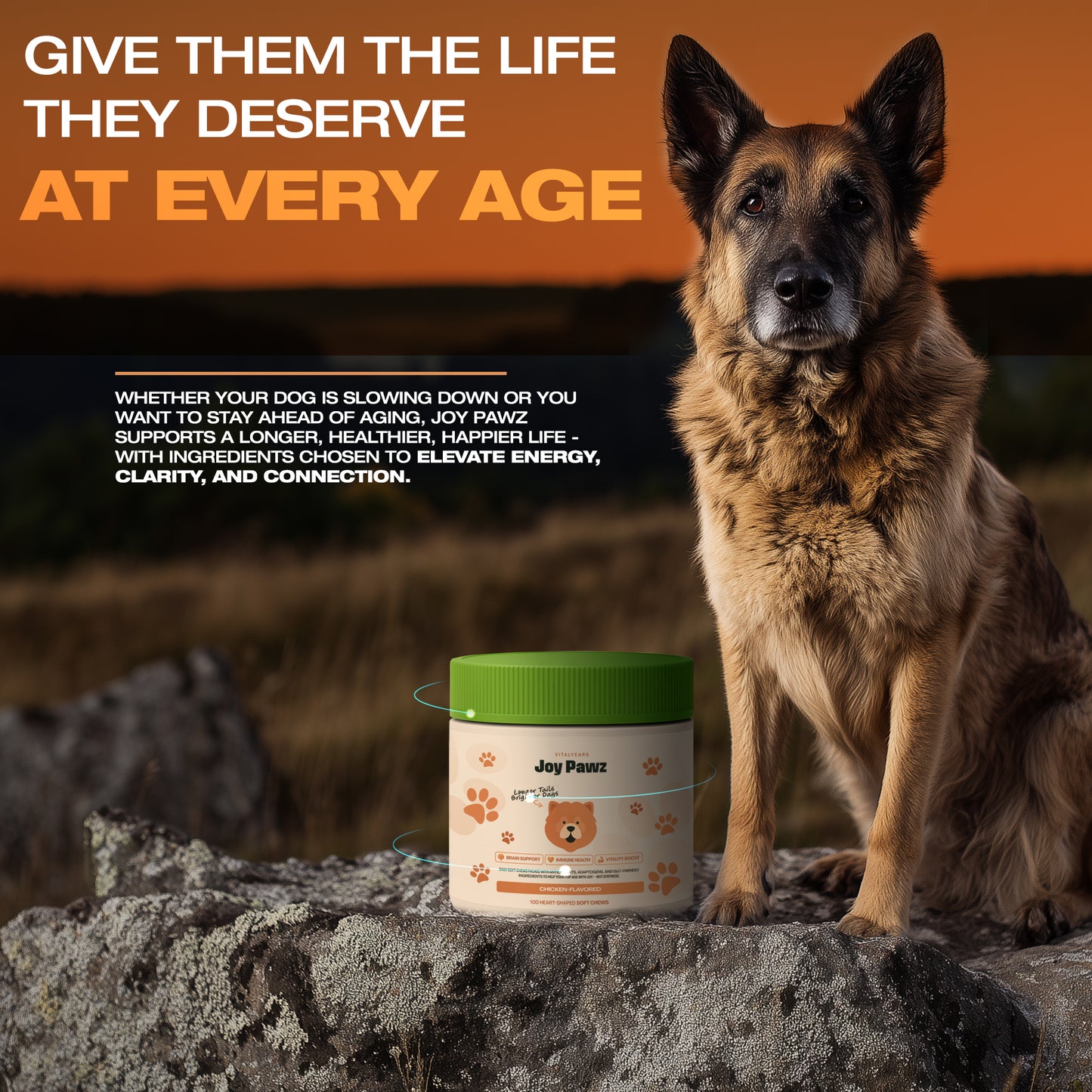 JoyPawz Vital Years - Anti Aging Chews